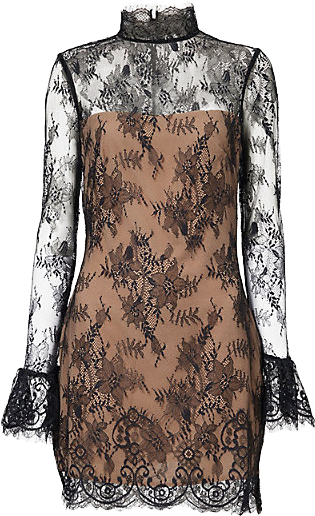 Reformation Teanna Floral-Lace Mini Dress In Black | Editorialist