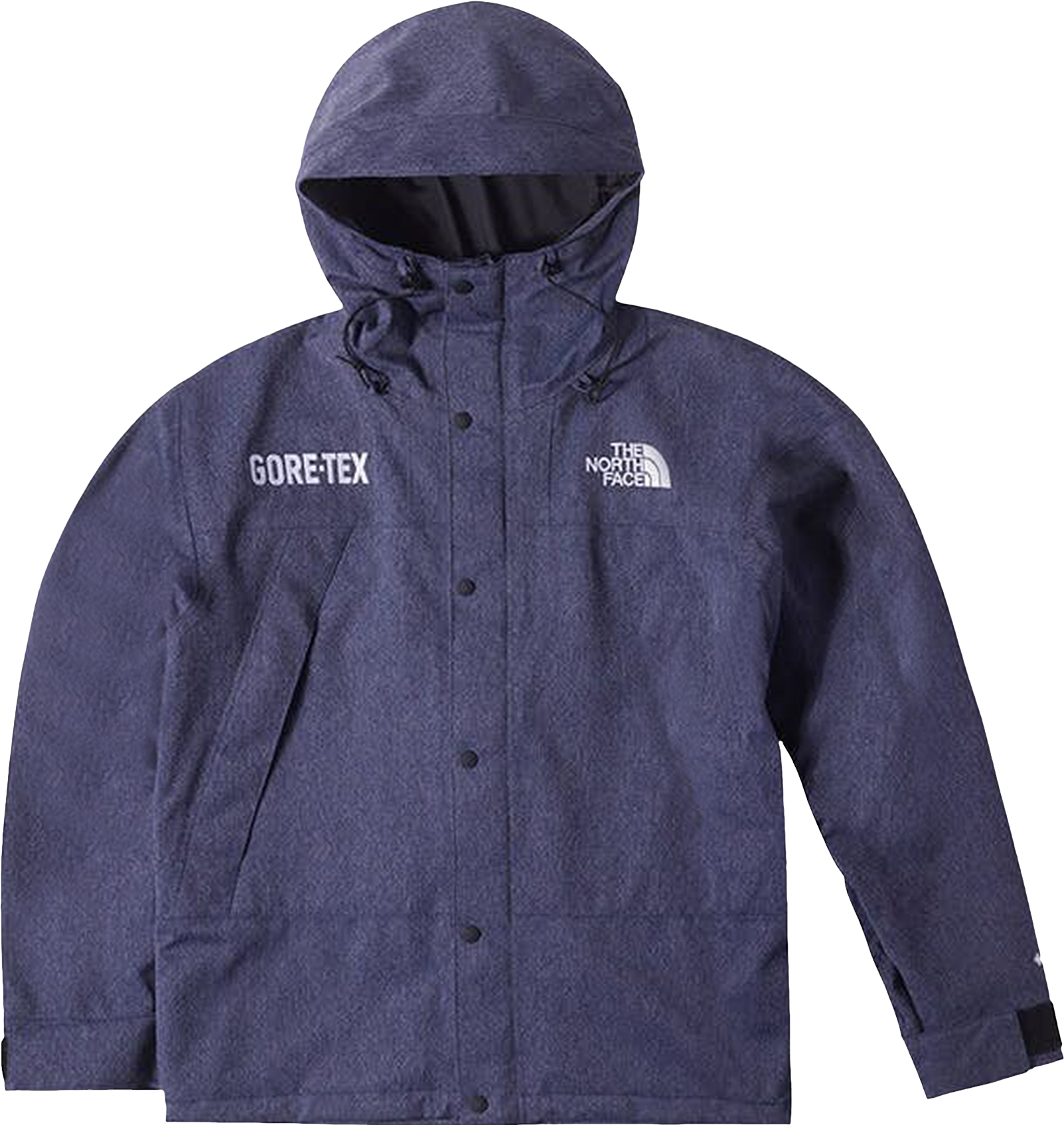 The North Face Gtx Mountain Jacket - Blue | Editorialist