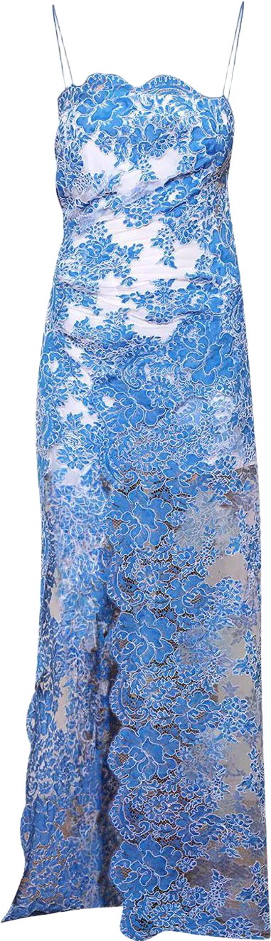 Christopher Esber Lace-Appliqu Maxi Dress - Blue