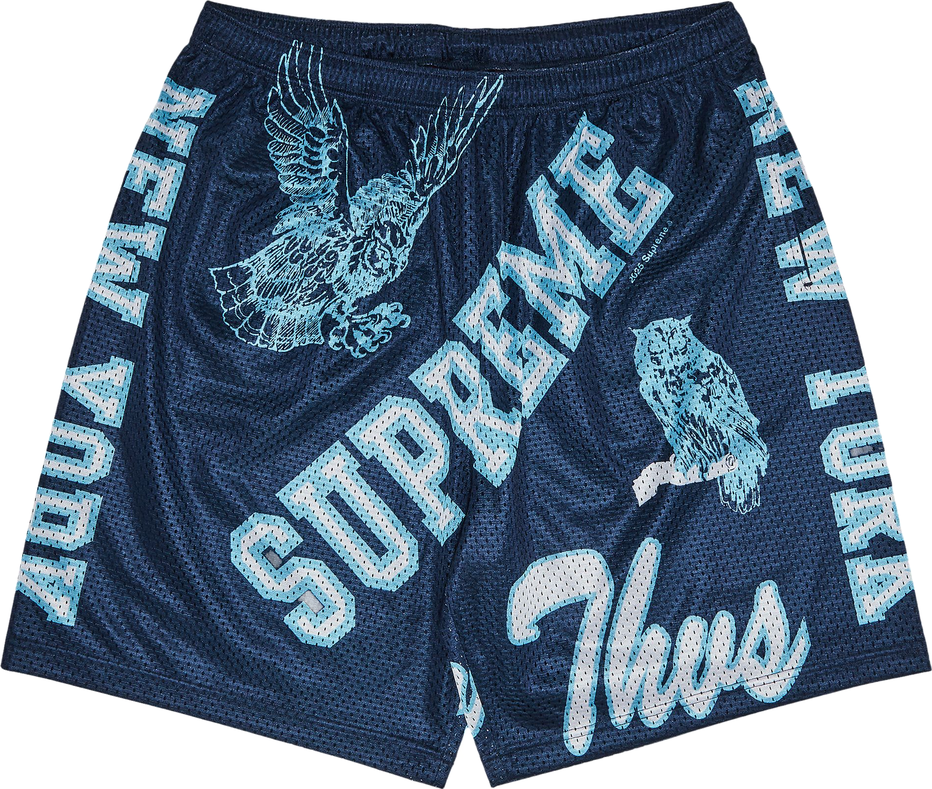 Supreme Varsity Mesh Short - Green | Editorialist
