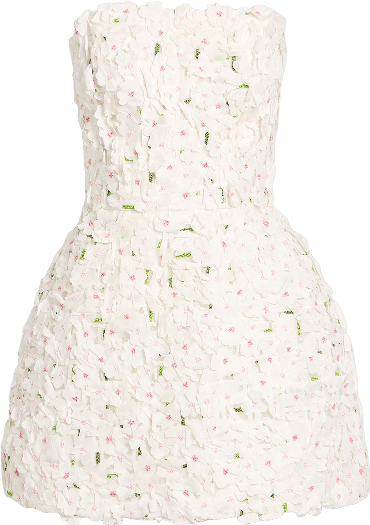 Buy Monique Lhuillier Strapless Floral-appliqud Tulle Mini Dress - White  At 60% Off | Editorialist