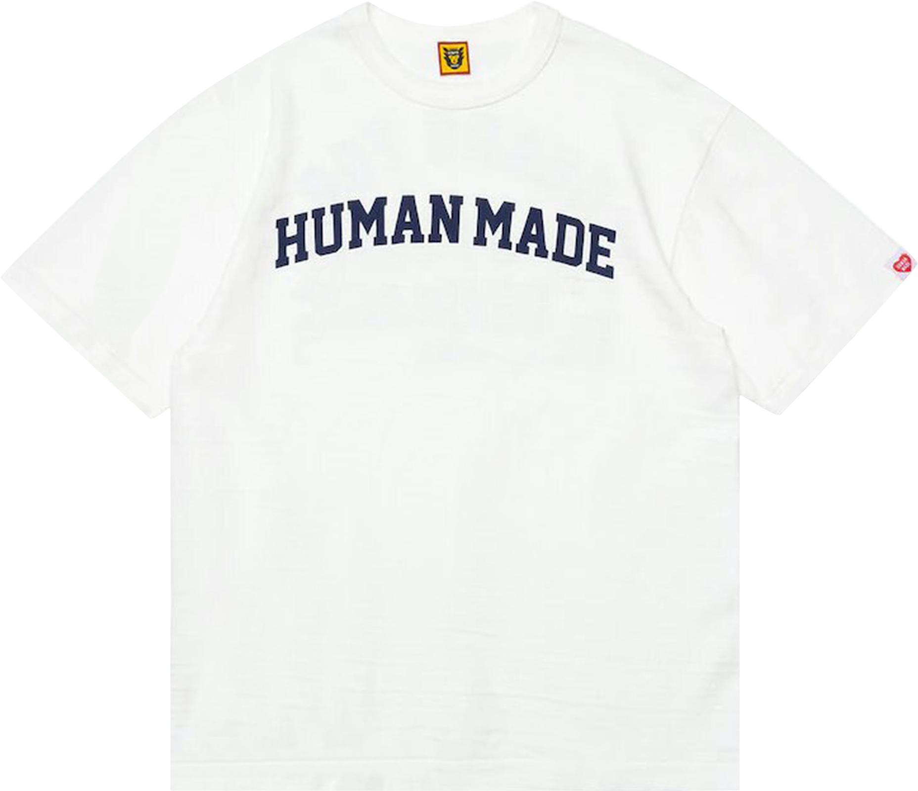 29541246~white_0_transparent.png