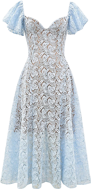 knee length dresses for ladies Women's Clementine Flutter Sleeve Midi Dress main image 0