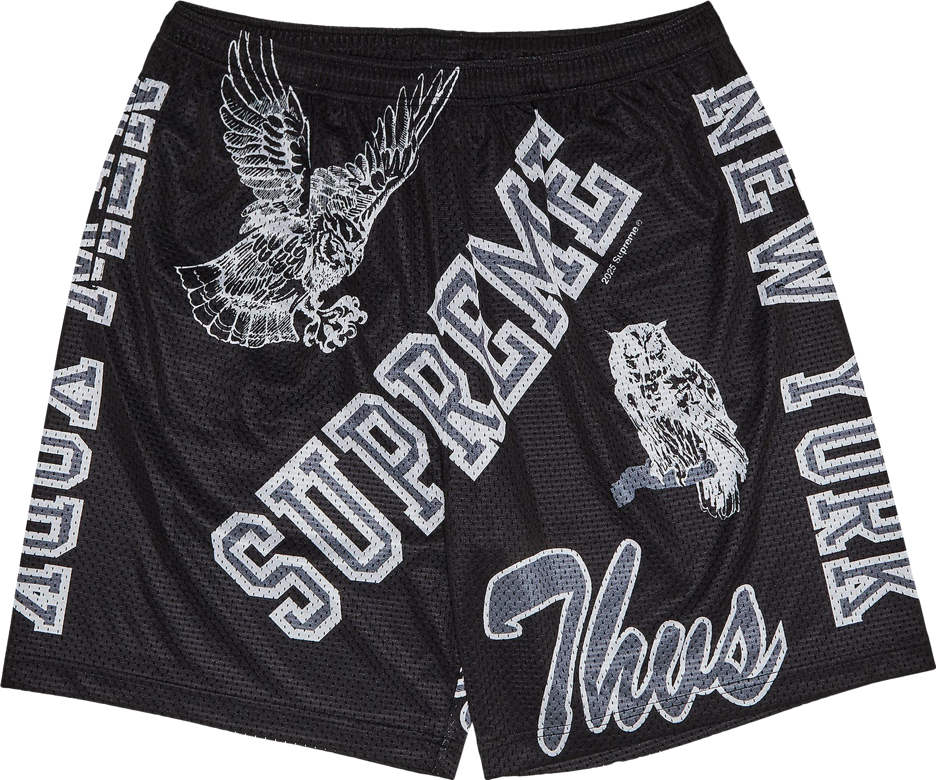 Supreme Varsity Mesh Short - Green | Editorialist
