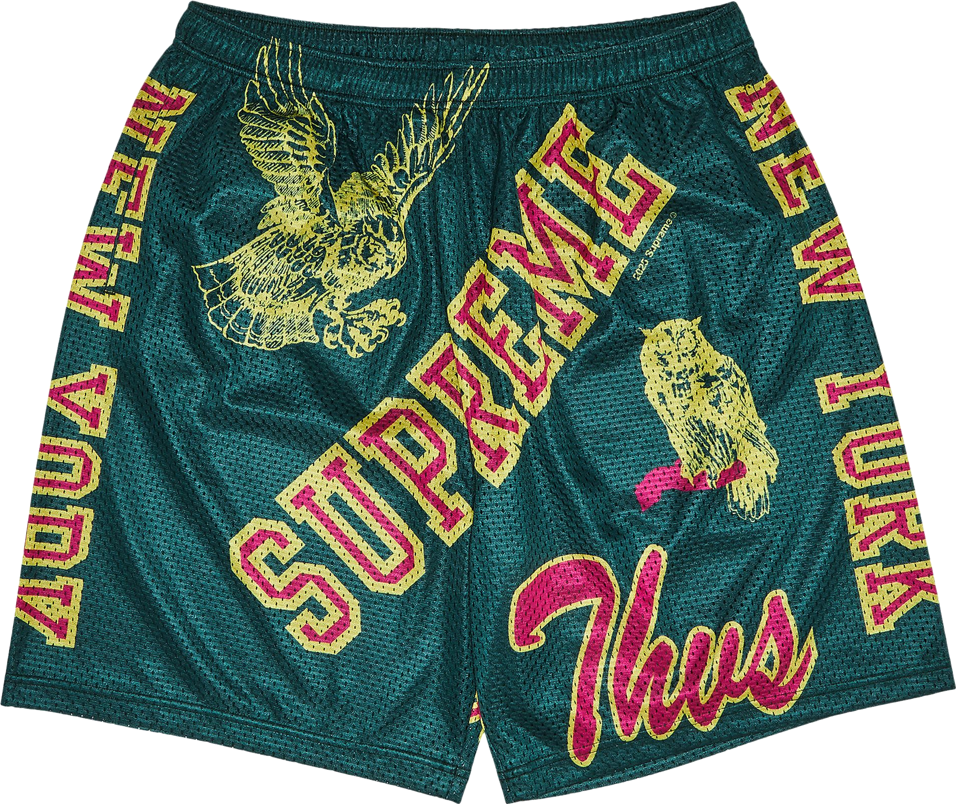 Supreme Varsity Mesh Short - Green | Editorialist