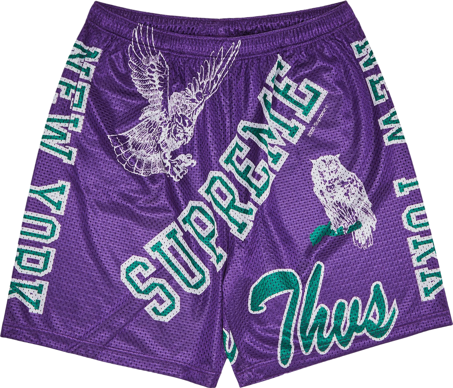Supreme Varsity Mesh Short - Green | Editorialist