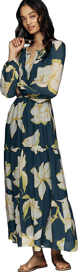 The Somerset Collection By Anthropologie Maxi Dress - Ivory Pattern | Editorialist The Somerset Collection By Anthropologie Maxi Dress - Ivory Pattern | Editorialist