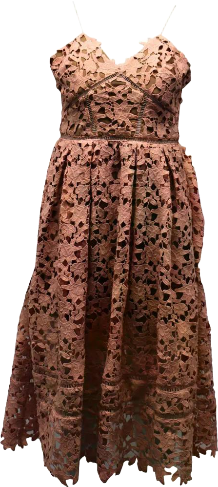 chinese dress ladies Self Portrait Azaelea Red Heavy Lace Midi Dress SIZE UK 10 US 6 Ladies –  Afashionistastore main image 1
