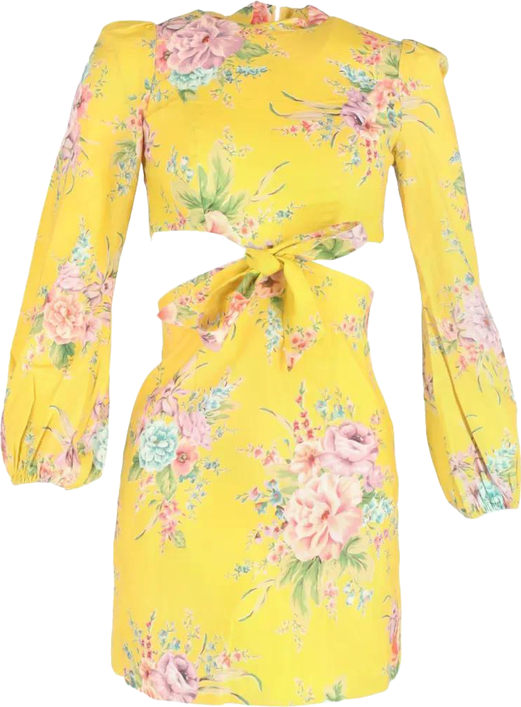 Zimmermann Floral-AppliquéD Printed Mini Dress In Cream - 50% Off