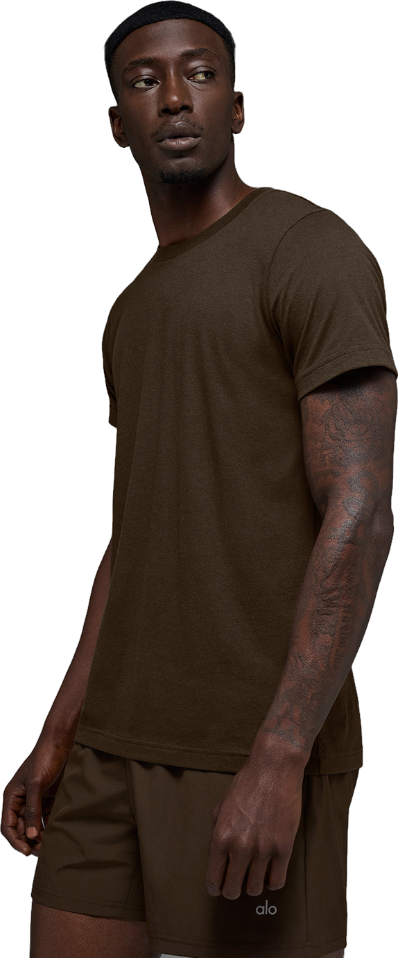 Alo Yoga Triumph T-Shirt - Gravel | Editorialist