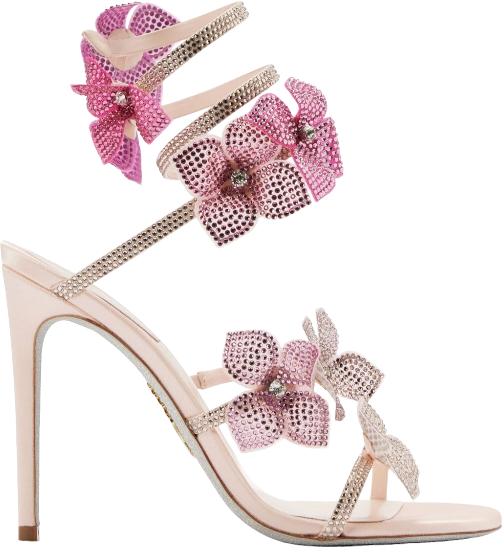 31445313~pink_0_transparent.png