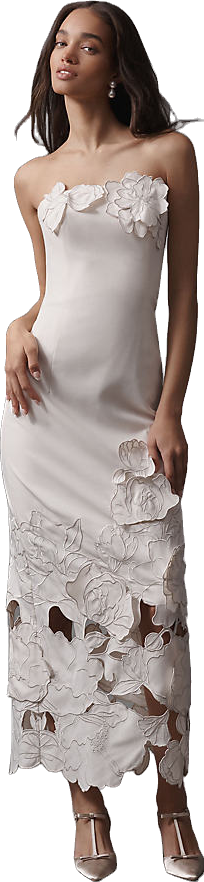 simkhai linen dress SIMKHAI Women's Gillian Embroidered Linen Midi Dress in White, Lace, Size 8 main image 0