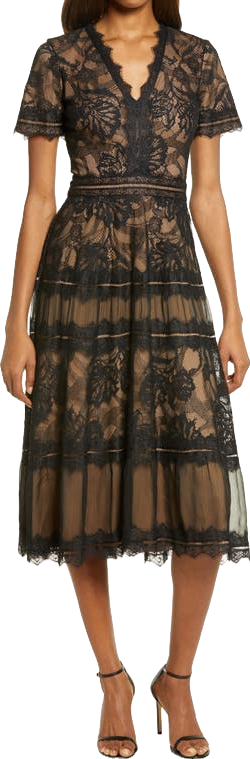 Tadashi Shoji Lace & Mesh Midi A-Line Dress - Navy/Nude | Editorialist