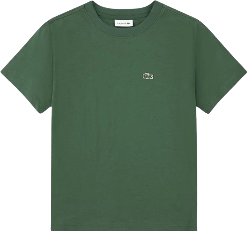 Lacoste Do You Speak ? T Shirt In Green - 9% Off | Editorialist