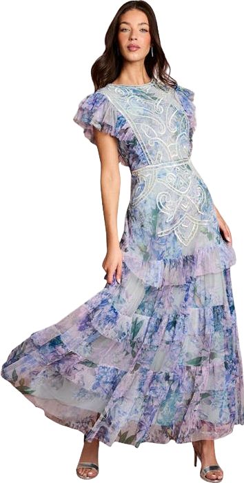 eva tuscan blue embroidered floral maxi dress House Of Cb Lace Gown - Cinderella The comfortable strapless number