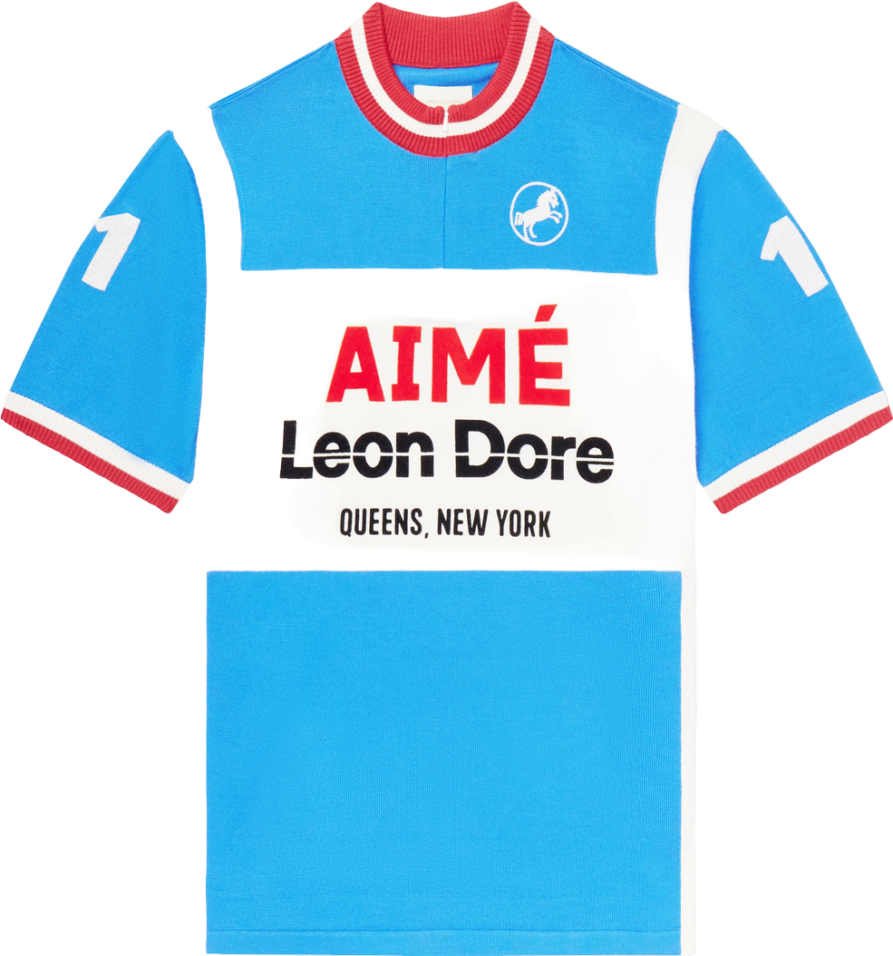 Aimé Leon Dore Team Soccer Jersey - Multicolor | Editorialist